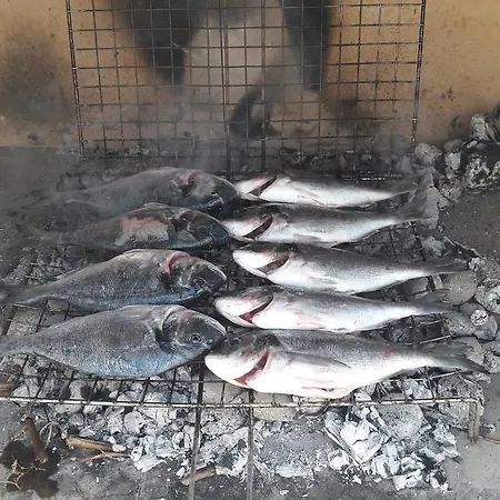 Laguna With Pool Daire Ražanj